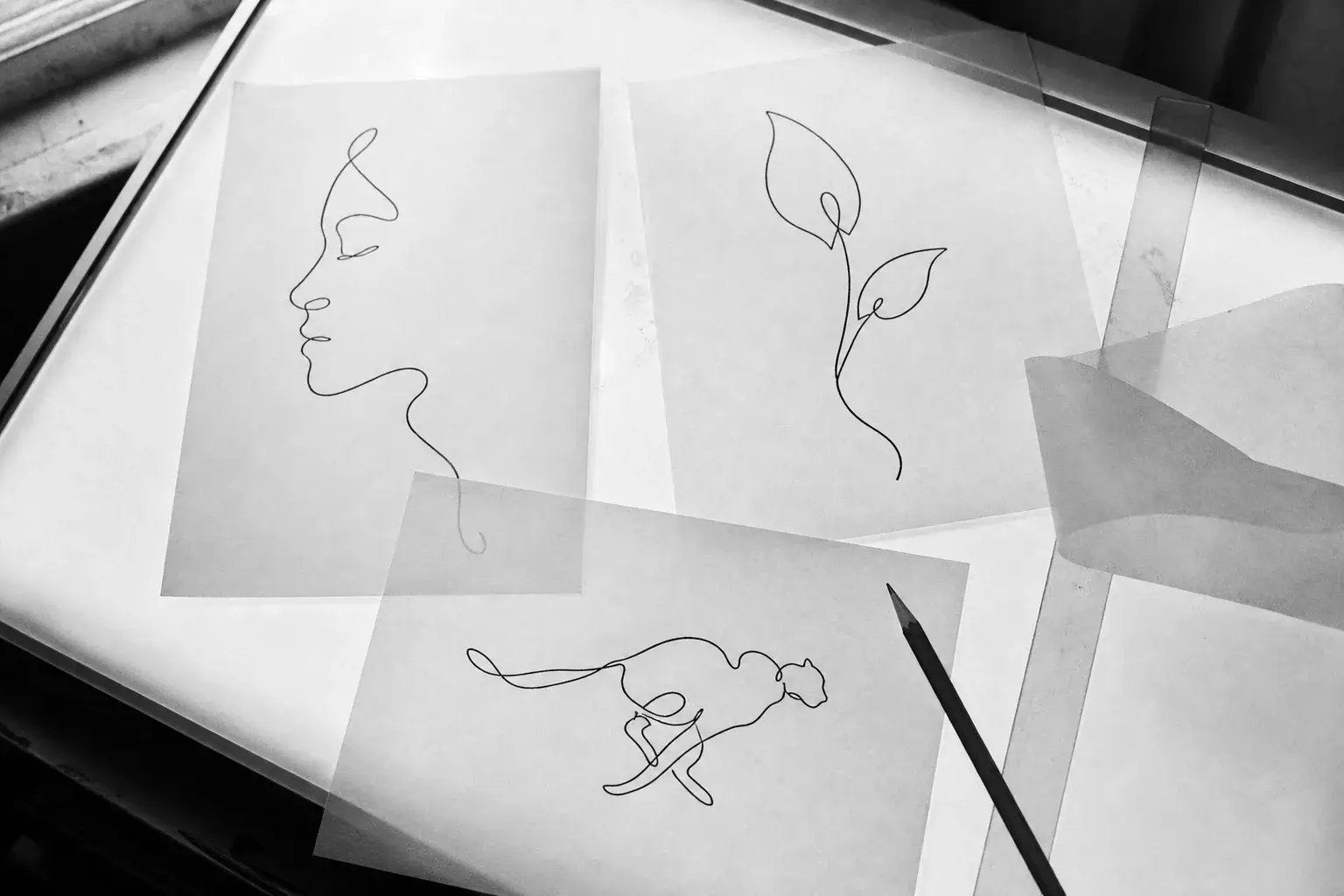 Trois dessins One Line représentant un visage, une plante et un animal