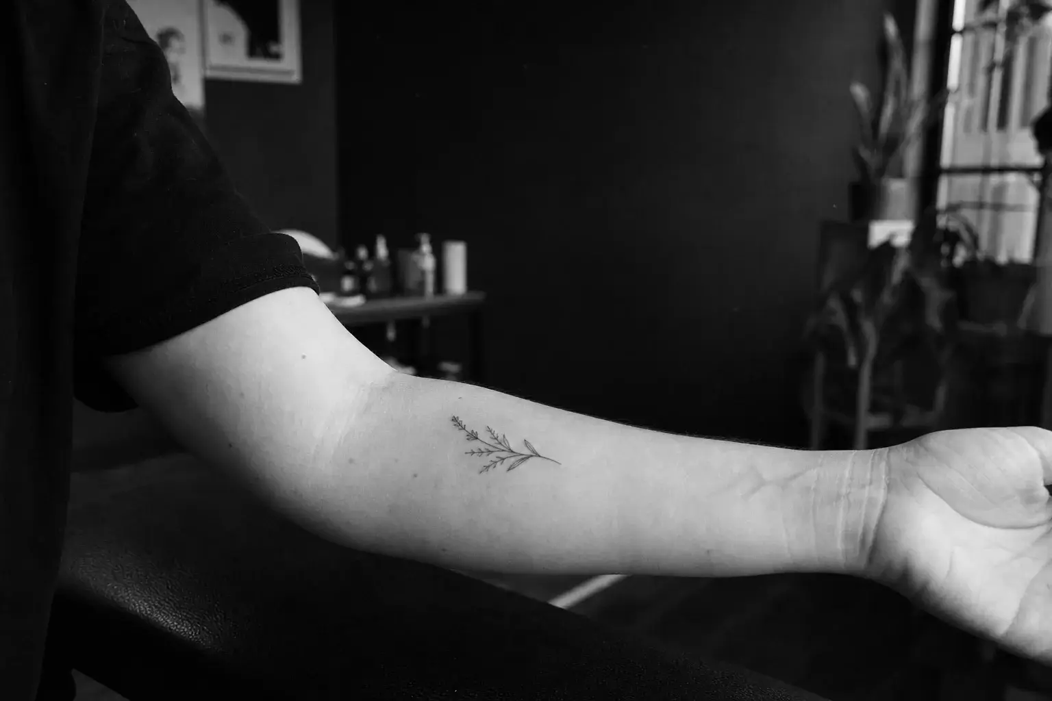 Petit tatouage de branche fine sur la face interne de l’avant-bras