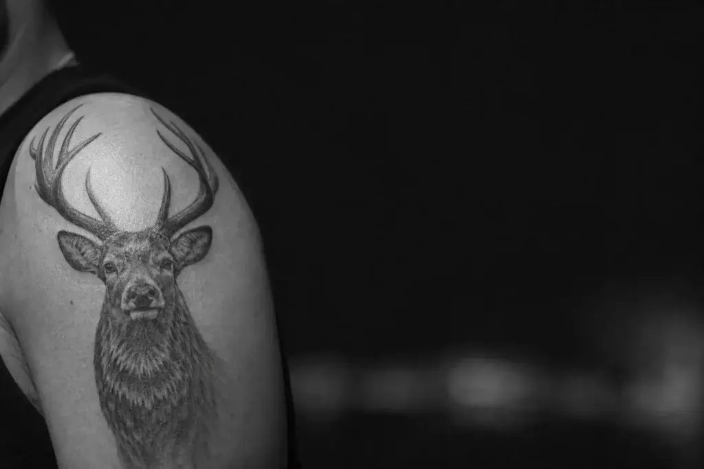 Tatouage cerf cicatrisé en noir et gris sur le haut du bras